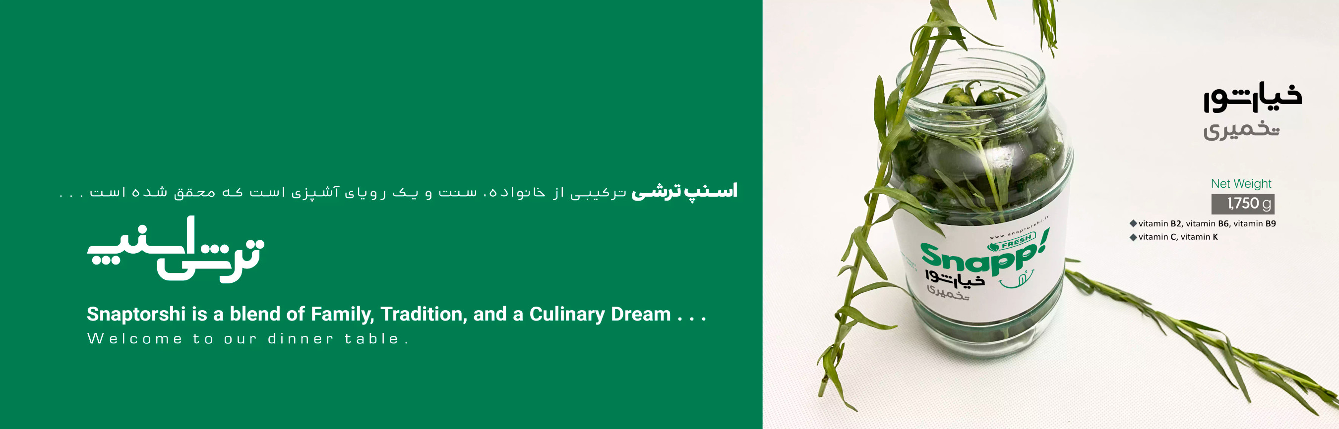 خیارشور تخمیری