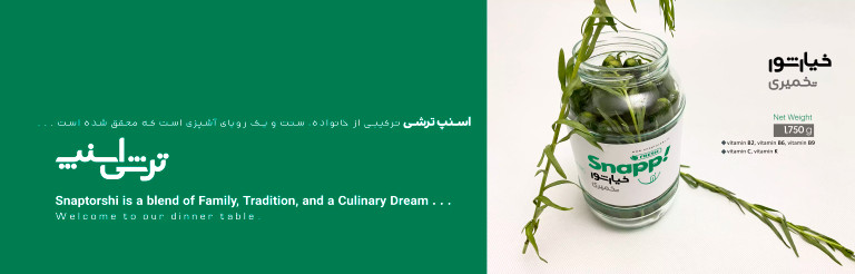 خیارشور تخمیری