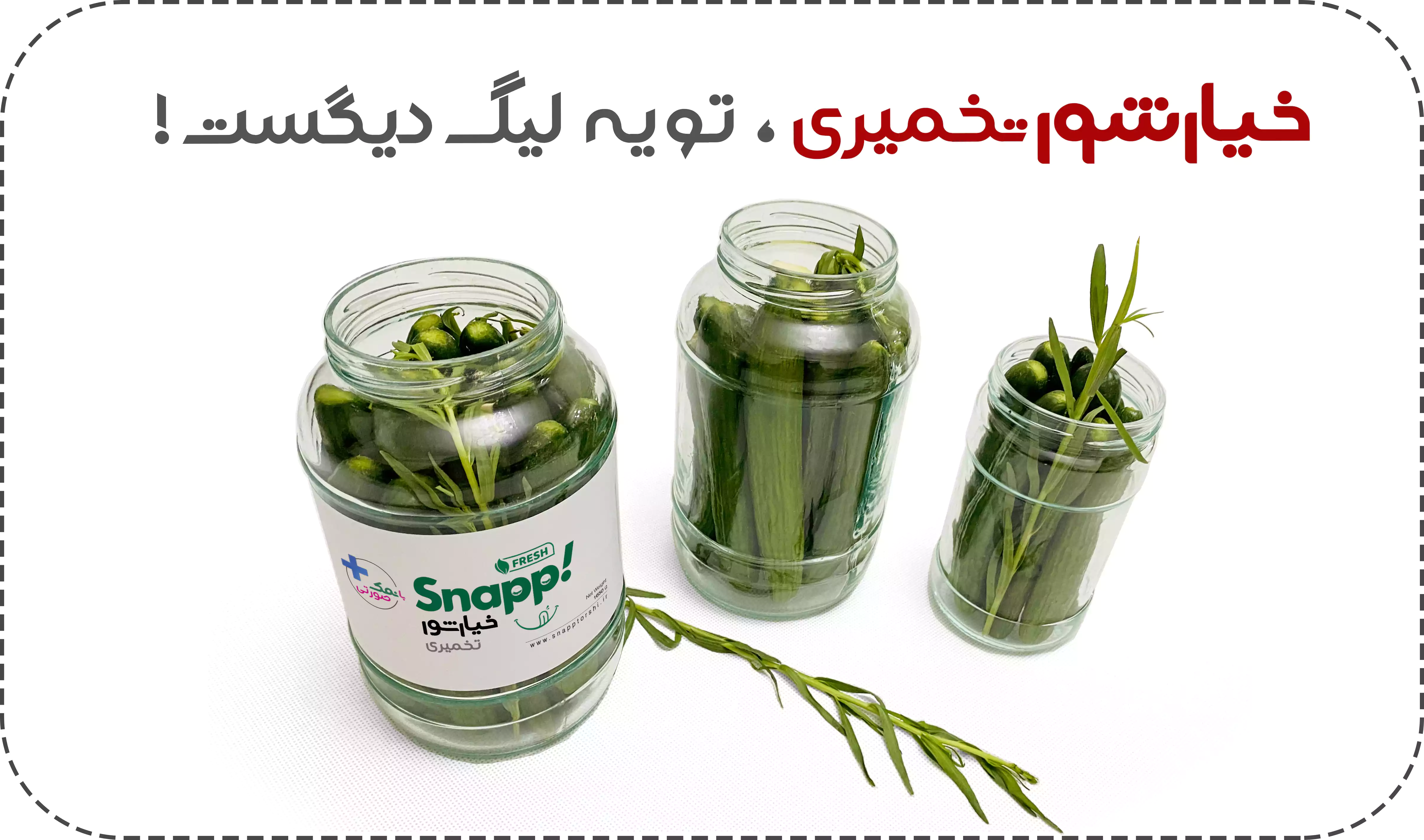 خیارشور تخمیری