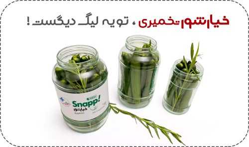 خیارشور تخمیری