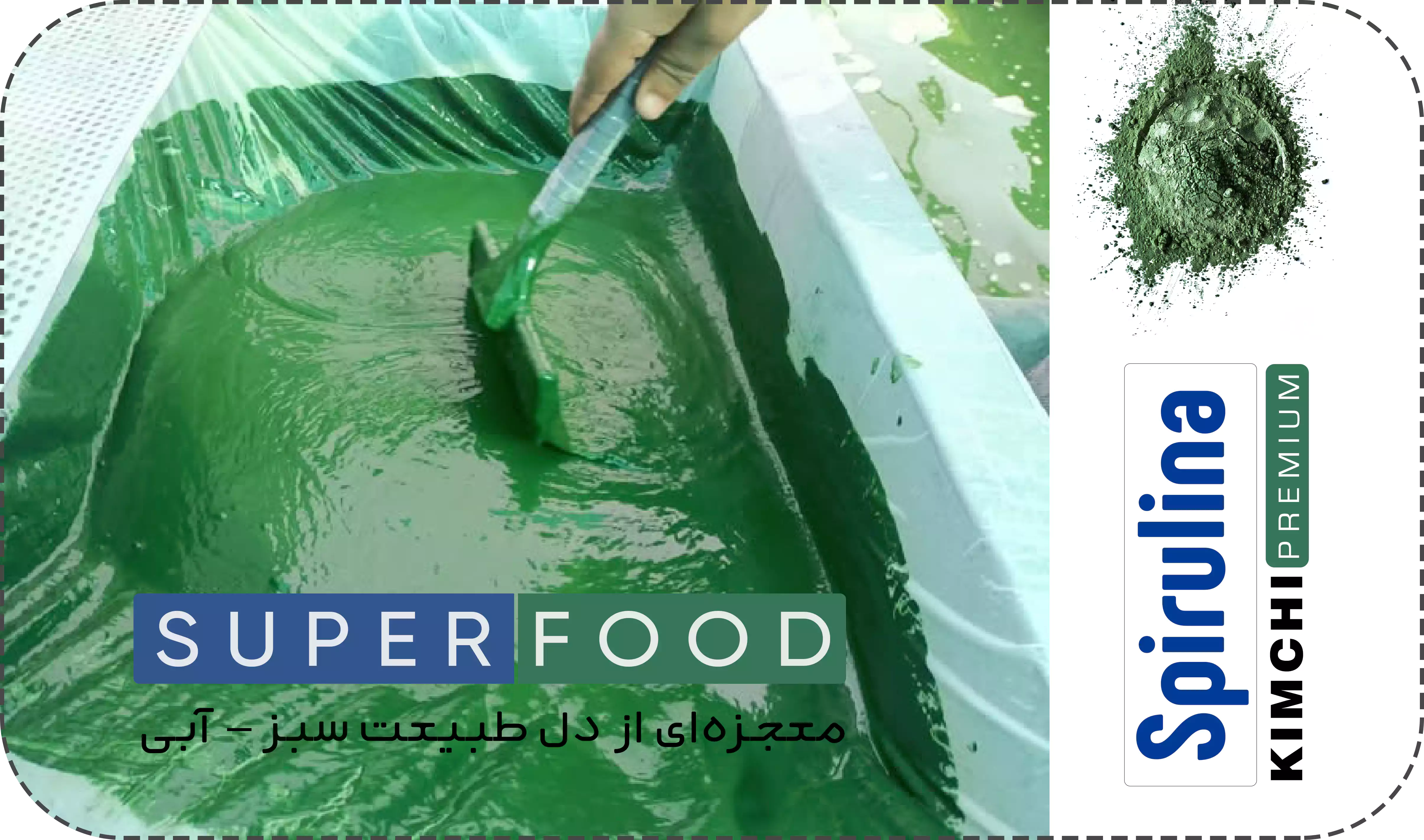 کیمچی اسپیرولینا