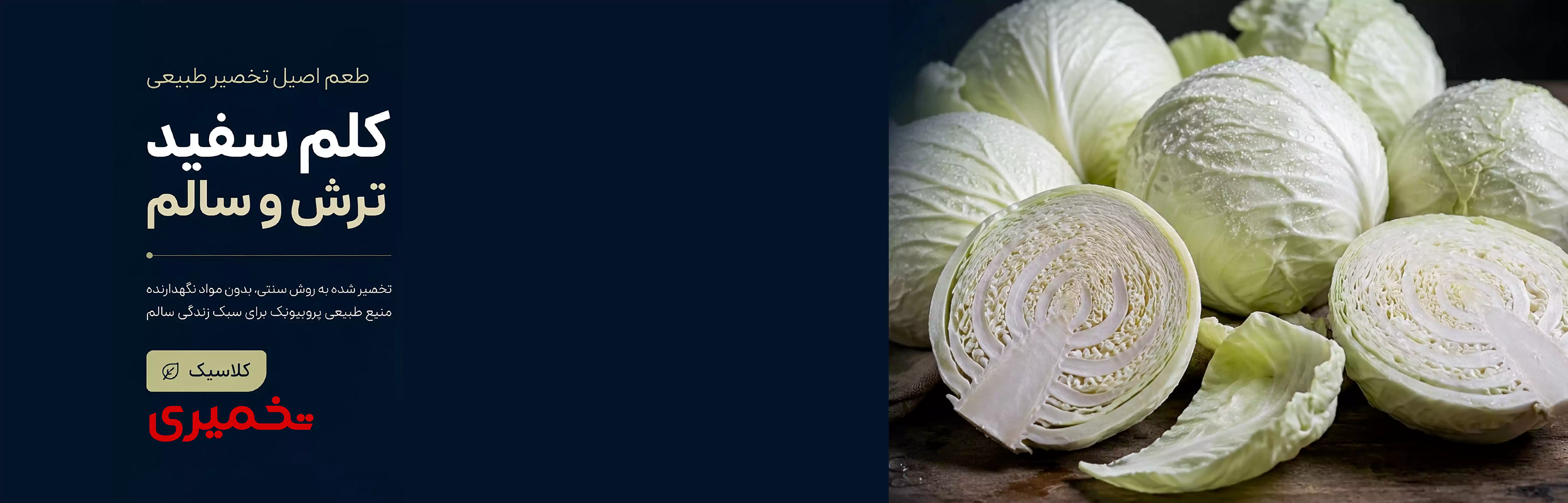 ساورکرات کلم سفید - بنر