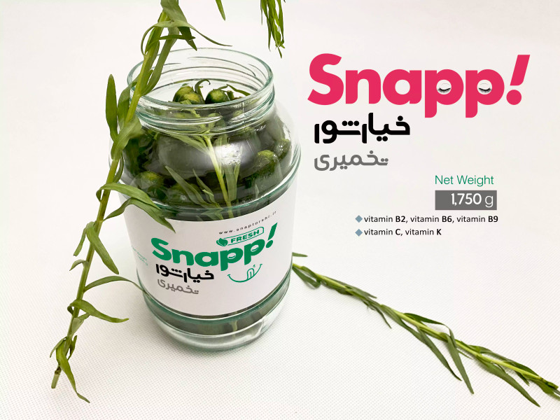 خیارشور تخمیری ( 1500 گرم )