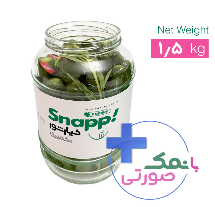 خیارشور تخمیری ( یک و نیم کیلویی )