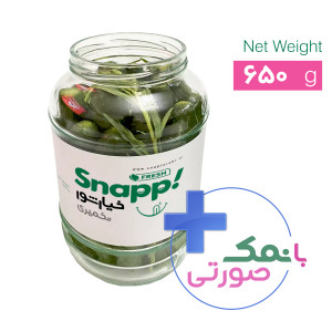 خیارشور تخمیری ( 670 گرم )