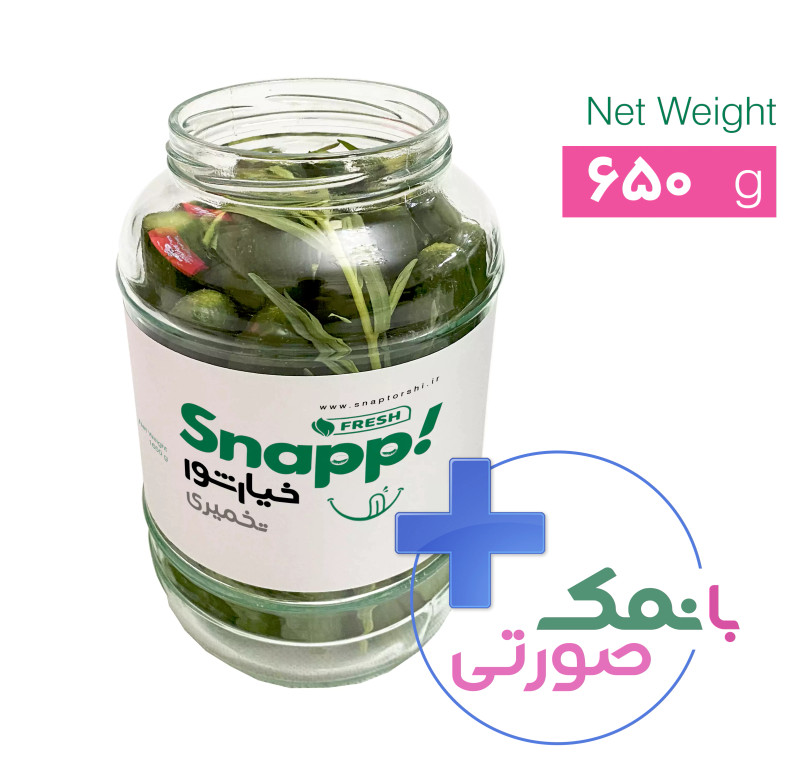 خیارشور تخمیری ( 670 گرم )